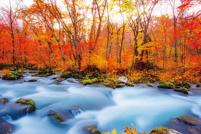 東北紅葉の旅