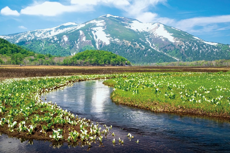 尾瀬ハイキング