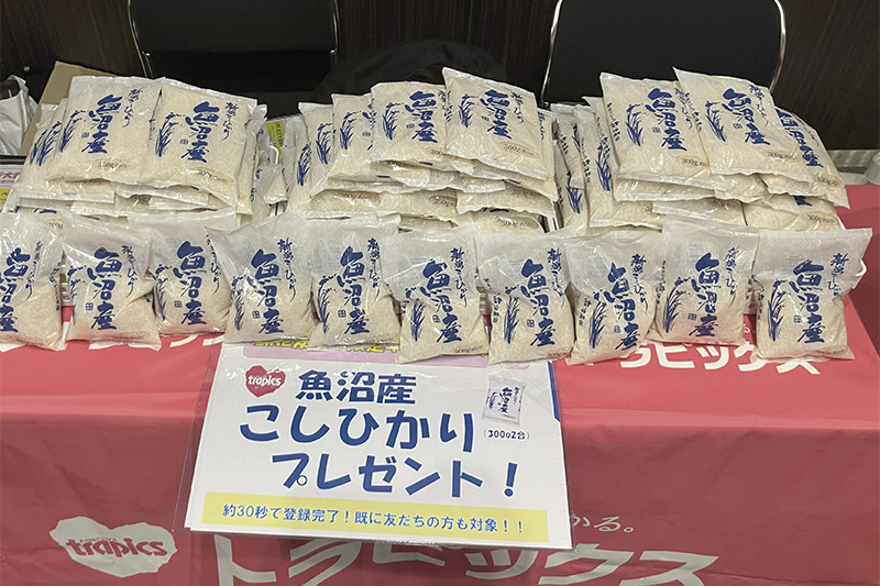 魚沼産こしひかり