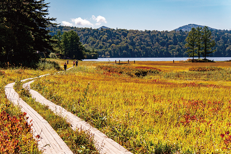 尾瀬ハイキング