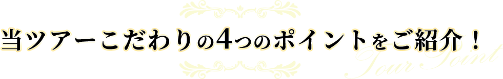 当ツアーこだわりの4つのポイントをご紹介！