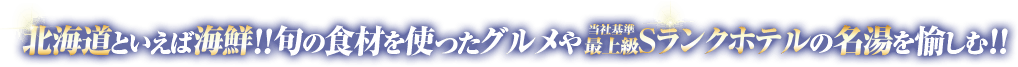 北海道といえば海鮮！！ 旬の食材を使ったグルメや最上級Sランクホテルの名湯を愉しむ！！