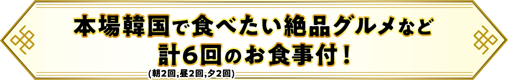 本場韓国で食べたい絶品グルメなど計6回のお食事付!