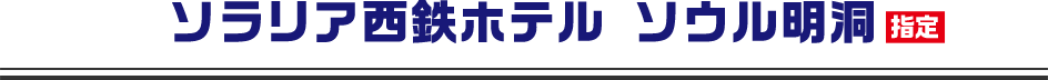ソラリア西鉄ホテル ソウル明洞 指定