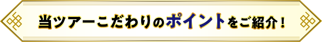 当ツアーこだわりのポイントをご紹介!