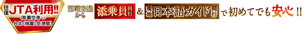 添乗員同行＆現地日本語ガイド同行で初めてでも安心！