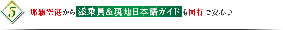 ポイント5 那覇空港から添乗員＆現地日本語ガイドも同行で安心♪