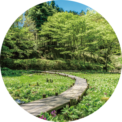 六甲高山植物園