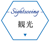 観光