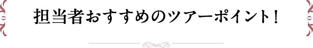 担当者おすすめのツアーポイント！