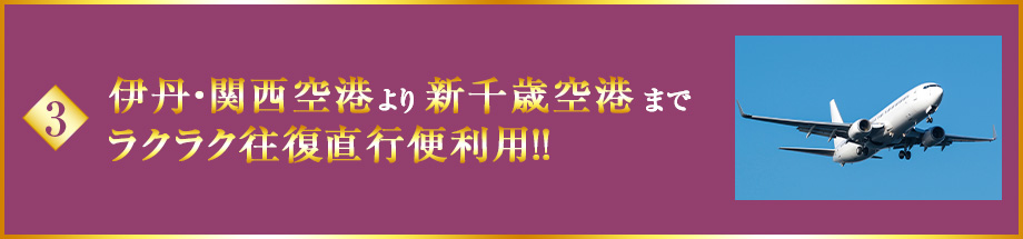3 伊丹・関西空港より新千歳空港までラクラク往復直行便利用！！