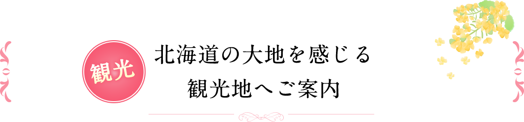 北海道の大地を感じる観光地へご案内