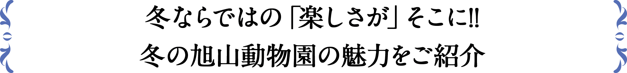 冬ならではの「楽しさが」そこに!!冬の旭山動物園の魅力をご紹介