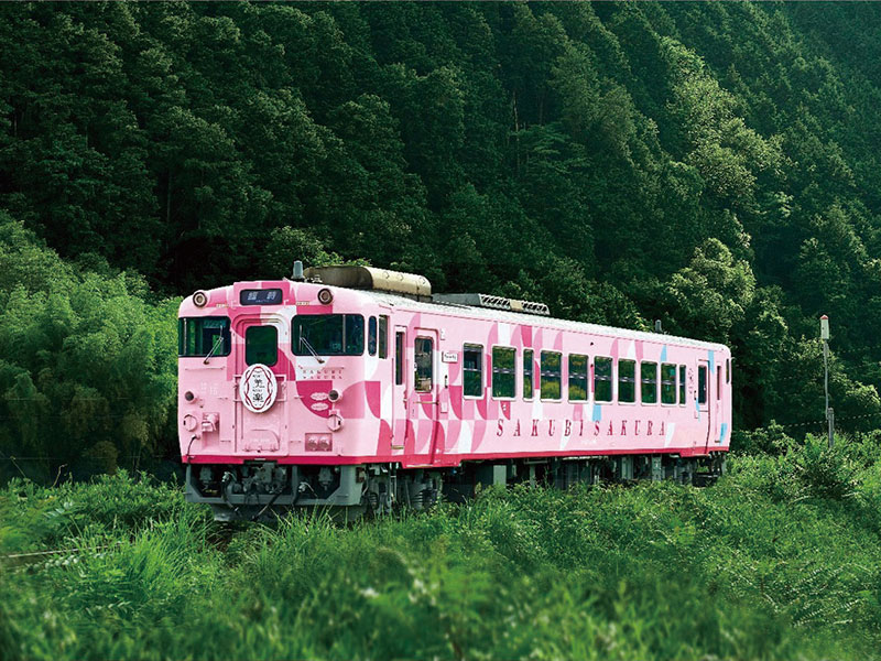 観光列車「SAKU美SAKU楽（さくびさくら）」