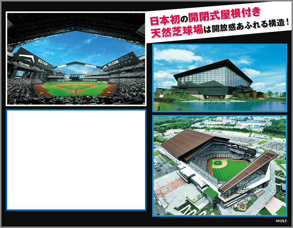 日本初の開閉式屋根付き天然芝球場は開放感あふれる構造!