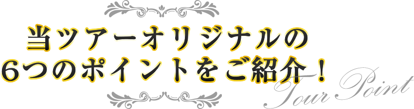 当ツアーオリジナルの6つのポイントをご紹介!