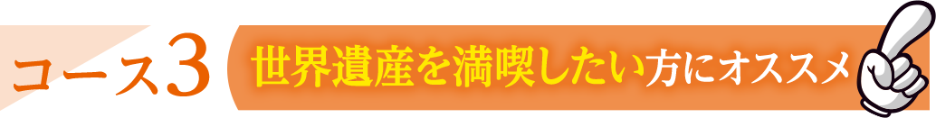 コース3 世界遺産を満喫したい方にオススメ