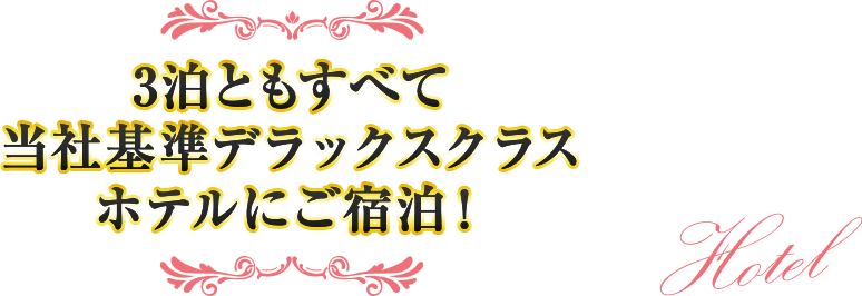3泊ともすべて当社基準デラックスクラスホテルにご宿泊!