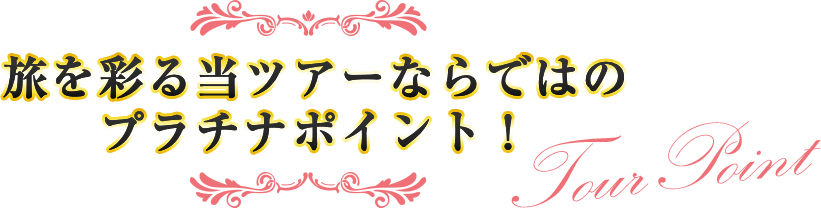 旅を彩る当ツアーならではのプラチナポイント!