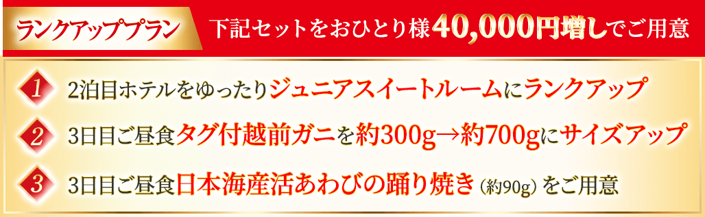 ランクアッププラン