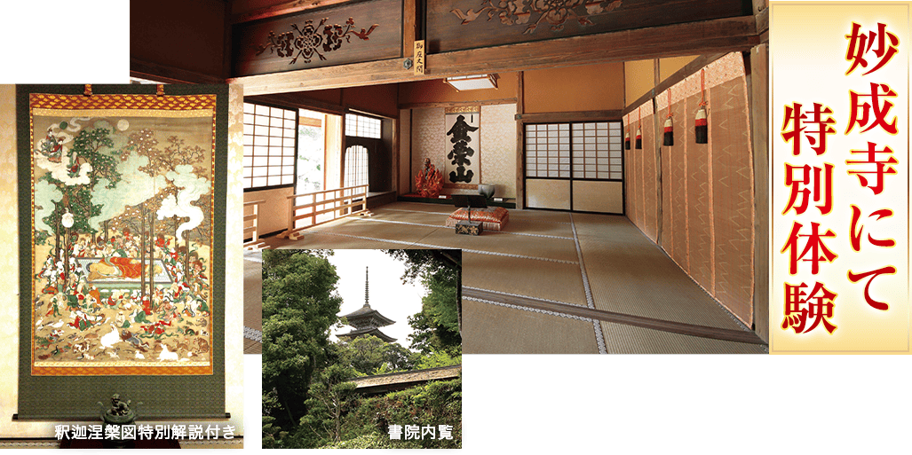 妙成寺にて特別体験