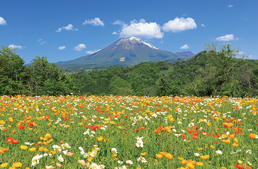 とっとり花回廊