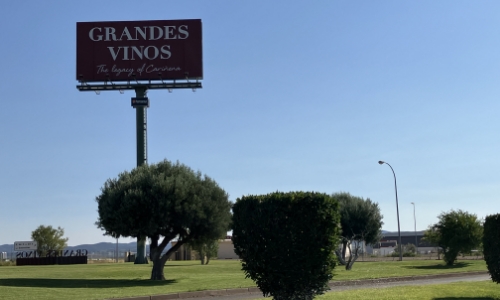 アラゴン州 サラゴサ GRANDES VINOS