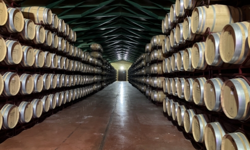 アラゴン州 サラゴサ ワイン貯蔵庫
