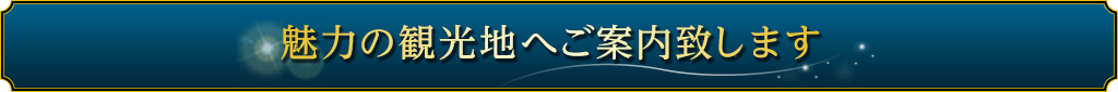 魅力の観光地へご案内致します