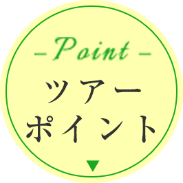 ツアーポイント