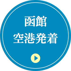函館空港発着