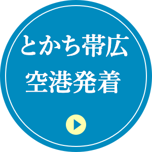とかち帯広空港発着