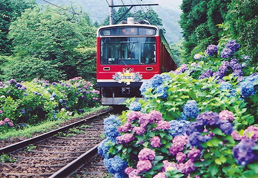 箱根登山電車