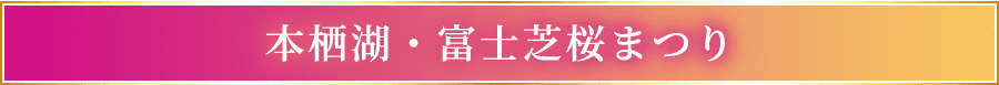 本栖湖・富士芝桜まつり