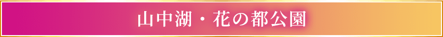 山中湖・花の都公園