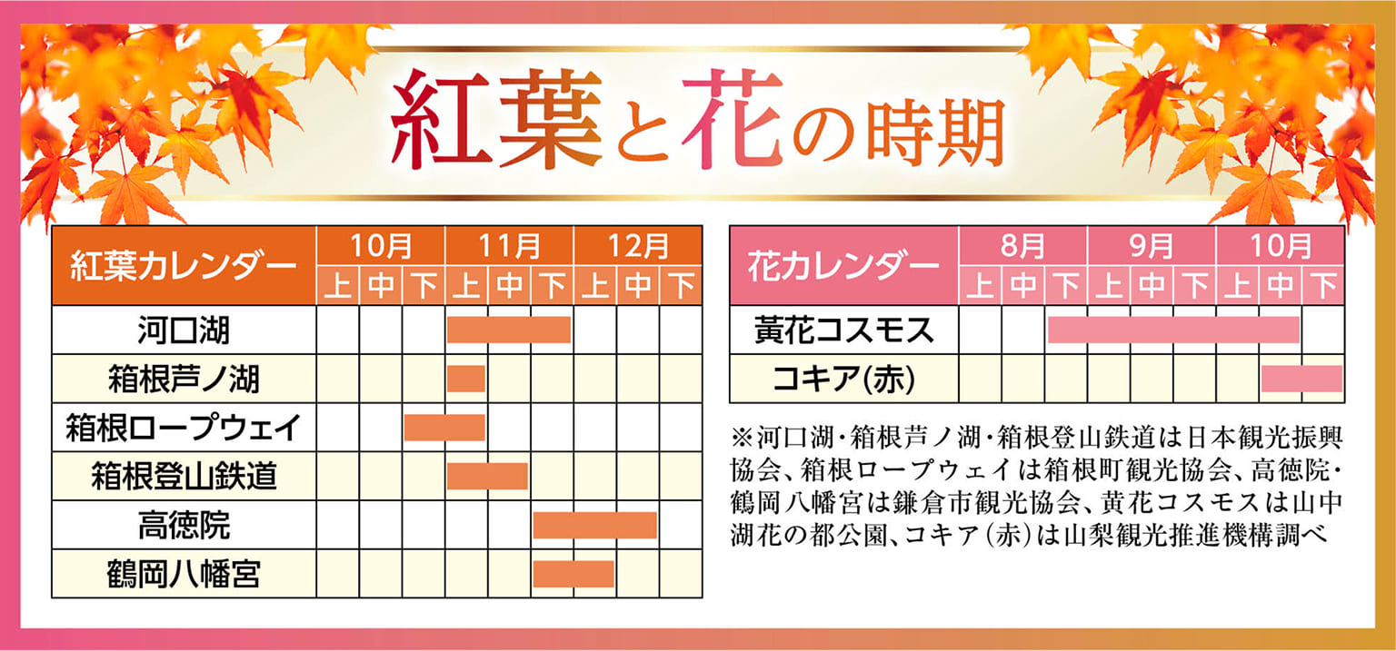花の開花時期