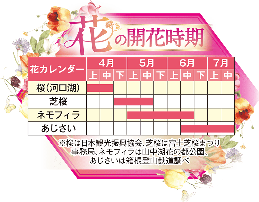 花の開花時期
