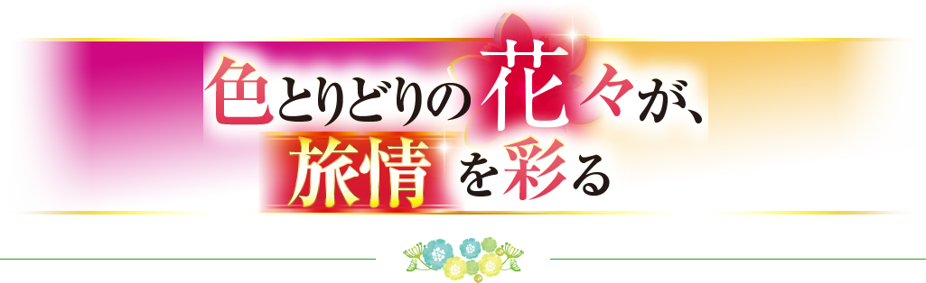 色とりどりの花々が、旅情を彩る