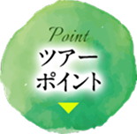 ツアーポイント