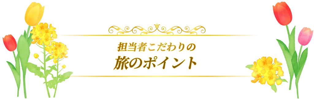 担当者こだわりの旅のポイント