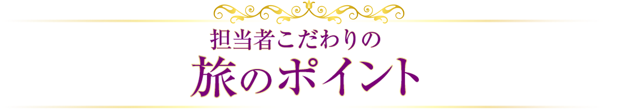 担当者こだわりの旅のポイント