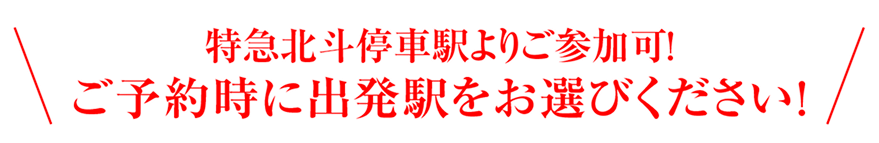 ご予約時に出発駅をお選びください