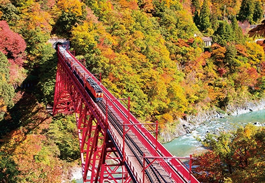 黒部峡谷鉄道 トロッコ電車