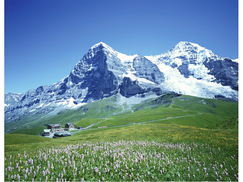 ハイキングモデルプラン