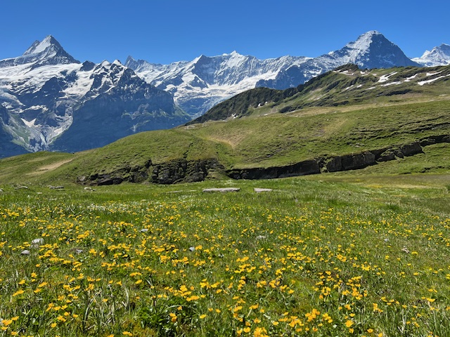 ハイキングモデルプラン