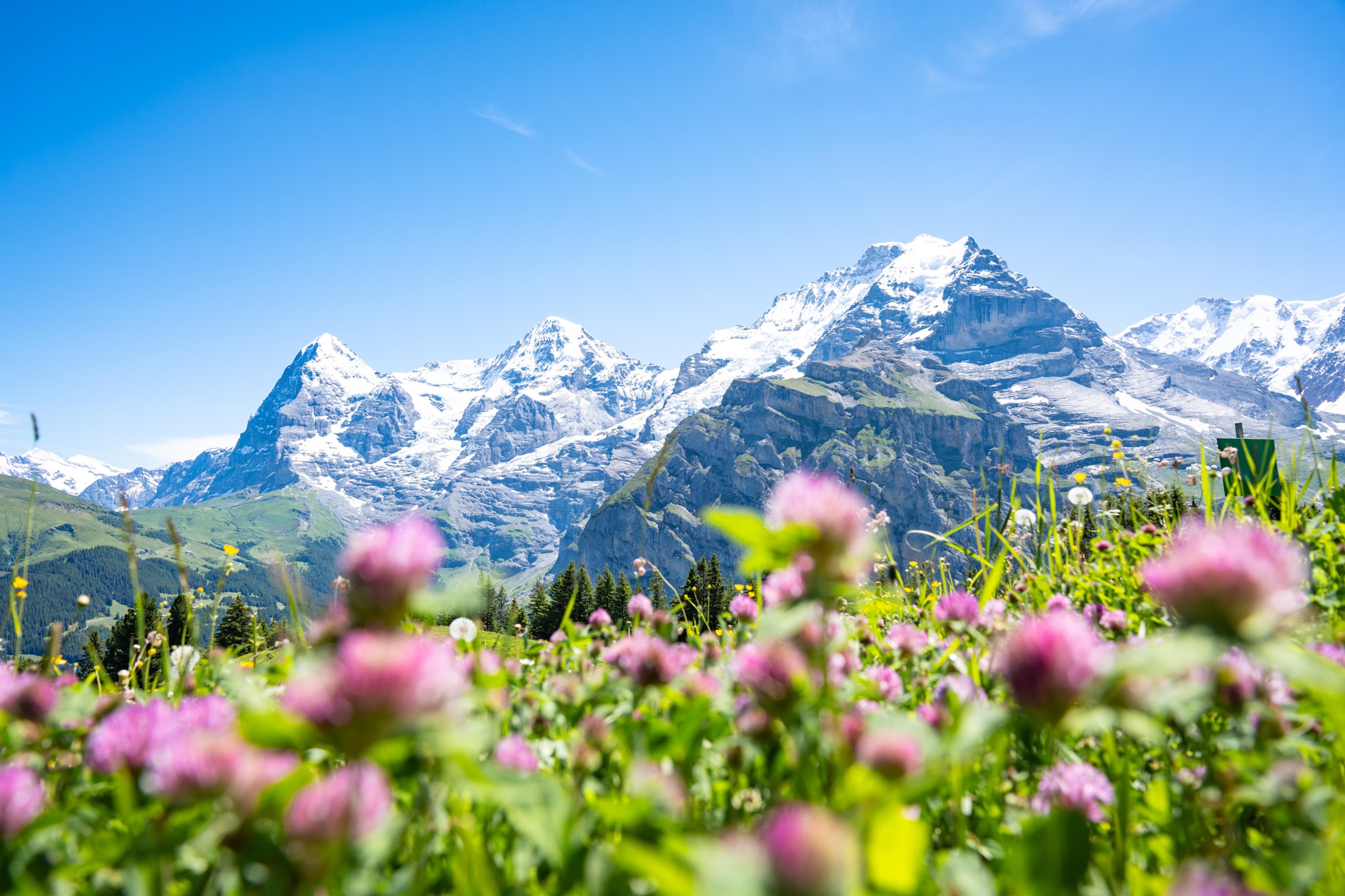 ハイキングモデルプラン