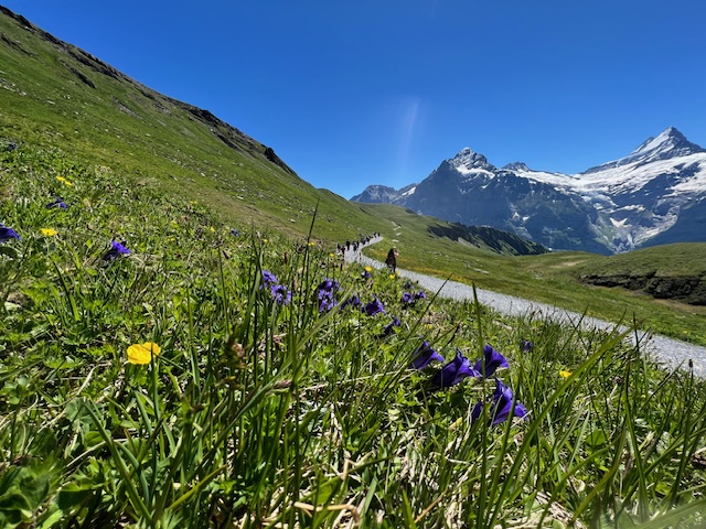 ハイキングモデルプラン