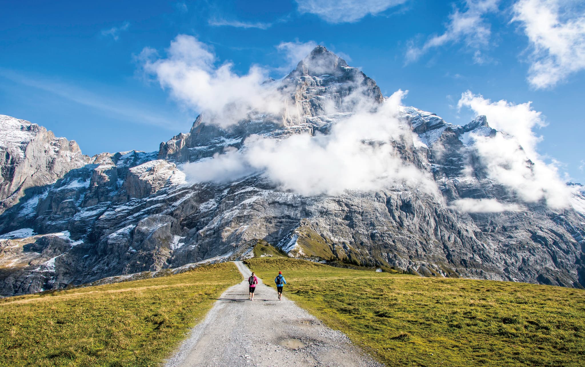 グローセシャイデック