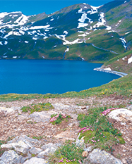 グリンデルワルト