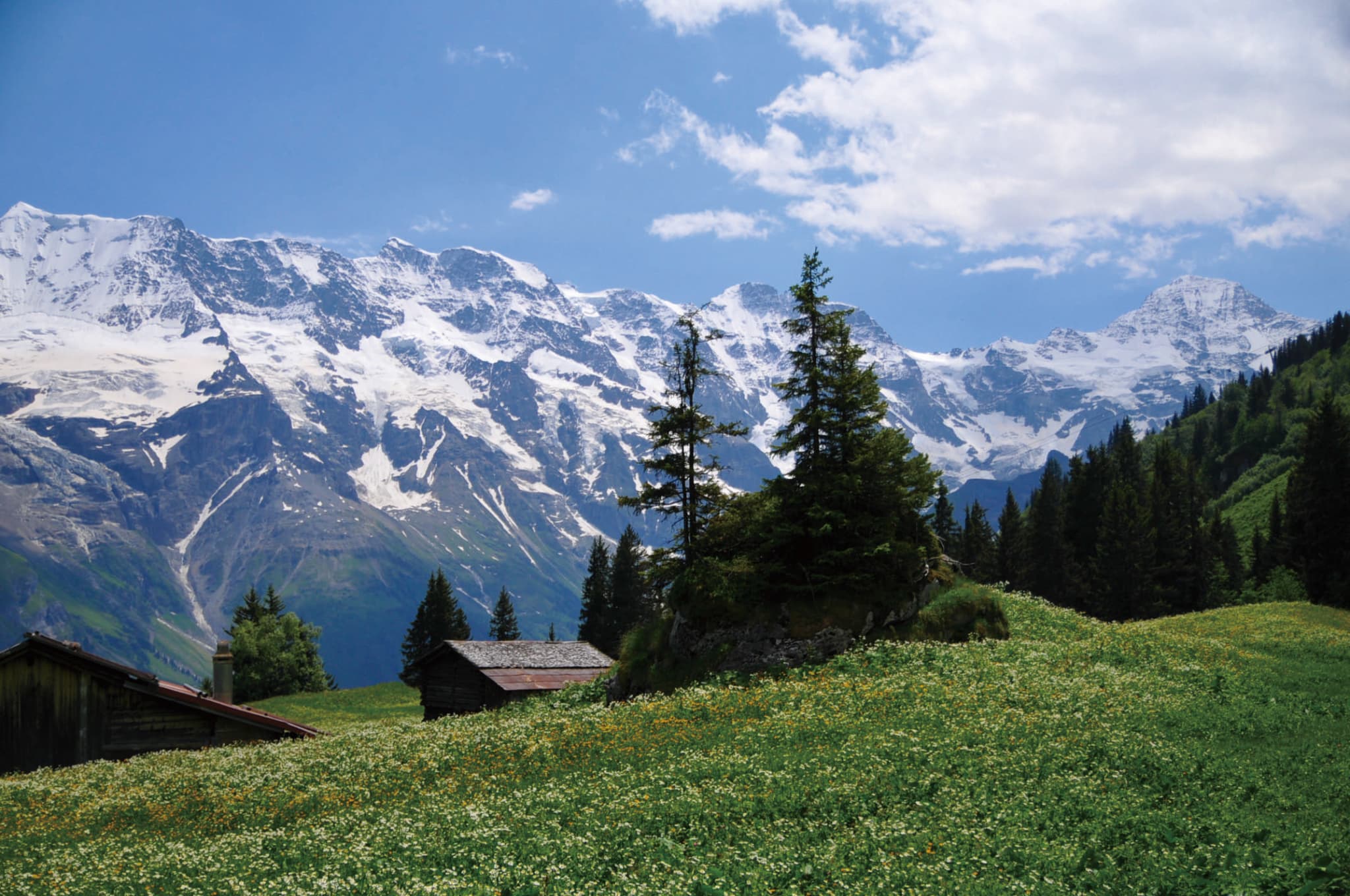 ハイキングモデルプラン